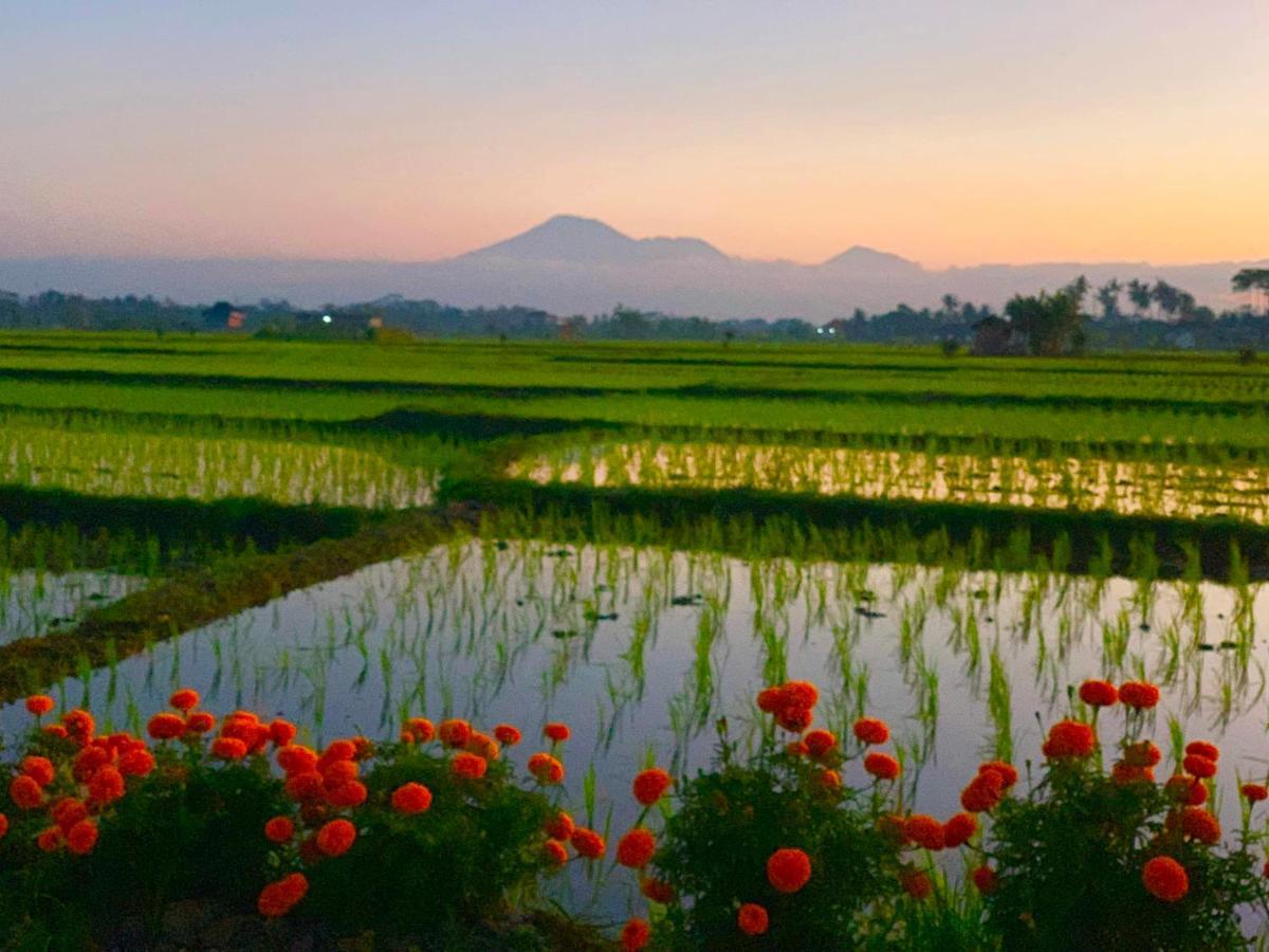 Villa Padi Karo Canggu  Bagian luar foto