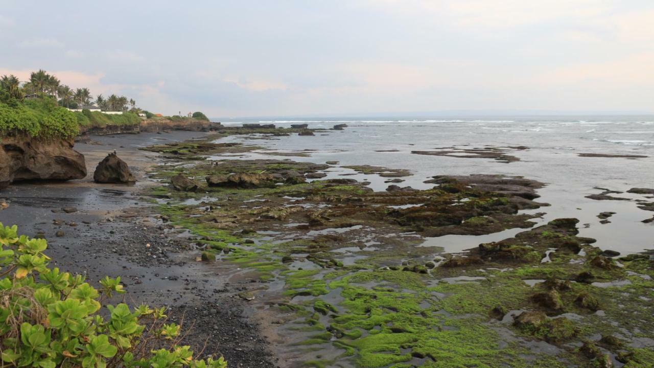 Villa Padi Karo Canggu  Bagian luar foto