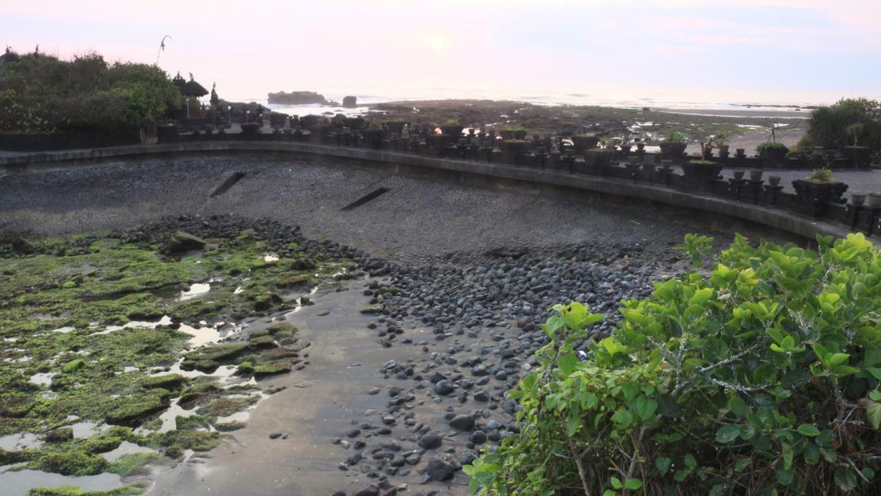 Villa Padi Karo Canggu  Bagian luar foto